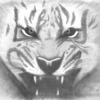 04--20081029-101621--tiger---6x4_thumb