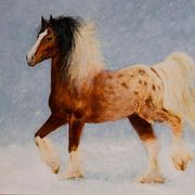 Kiv_50x40_card