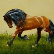 Kvi_50x40_card
