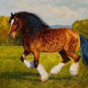 Kvii_50x40_card