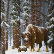 _ubr_xx__40x50_card