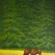 Knieja_dostojna__40x50__card