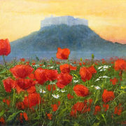 Monte_casino_50x40_card