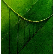 Most_50x60_card