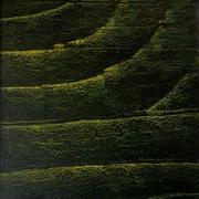P-n_xxii_50x60_card