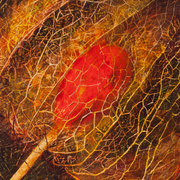 80x60a_card