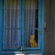 Img_9763aaaa_card