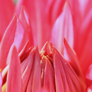 Img_9818_card