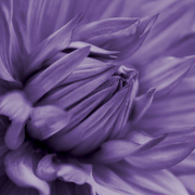 Img_9852_card
