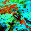 Tropical_20fish_20_13e__thumb