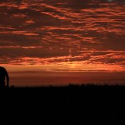 Img_9530_card