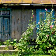Img_9877_card