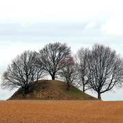 Img_7728_card