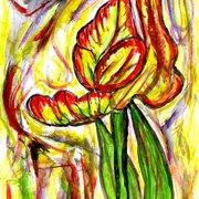 Plant_opening_in_the_light_card