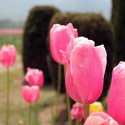 Img_0468_1_card