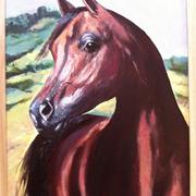 Painting_no_20_card