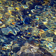 Imgp9925_card