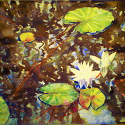 P1010036_card