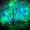 Tree_under_water_thumb