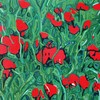 Poppy2_thumb