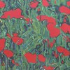 Poppy_1_thumb