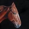 Head_of_horse_thumb