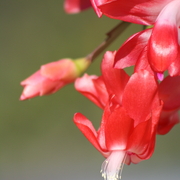 Img_5472a_card