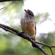 Img_5252a_card