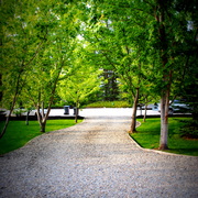 Drive_card