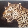Jaguar_thumb