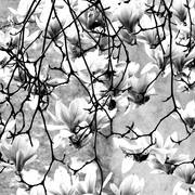 Fiori1_card