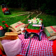 Picnic_2_card