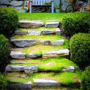 Stair_case_card