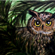 Whooo__you_lookin_at_me_card
