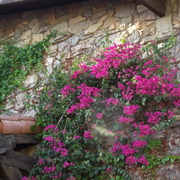 April_2012_172_card