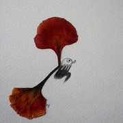 Shadow_card