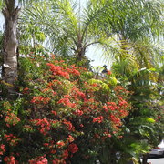 April_2012_467_card