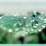 Absolutegreen_card