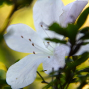 Img_0004_card