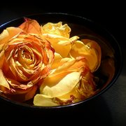 Dsc05229-002_card