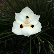 Img_0328_card