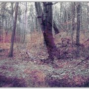 Untitled1_card