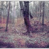 Untitled1_thumb
