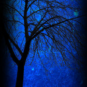 Change_card