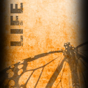 New-life_card