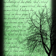 3_card