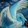 Swan_thumb