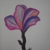 Untitled_thumb
