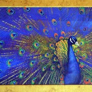 Pcock2_card