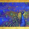 Pcock2_thumb